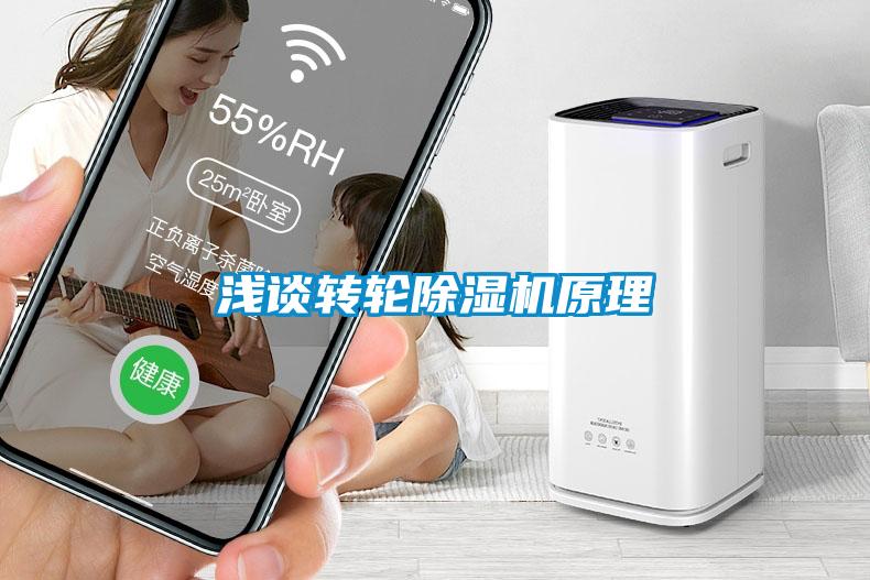 淺談轉(zhuǎn)輪除濕機原理