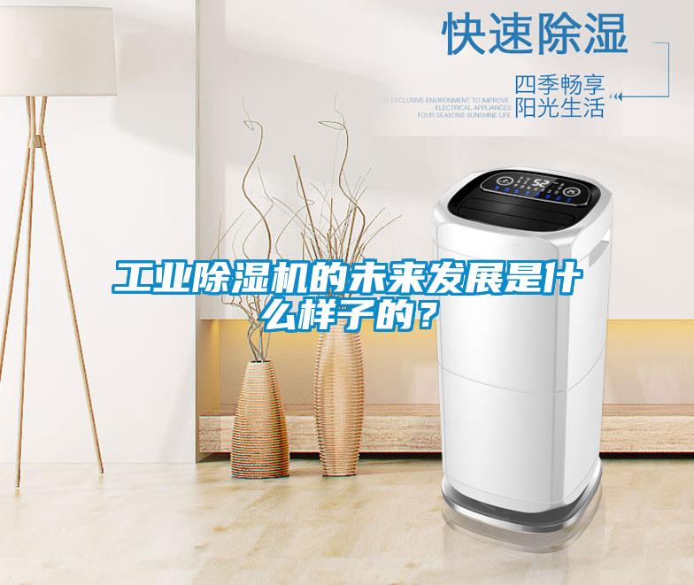 工業(yè)除濕機(jī)的未來發(fā)展是什么樣子的？