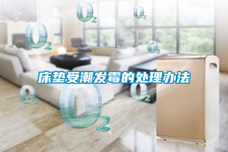 床墊受潮發霉的處理辦法