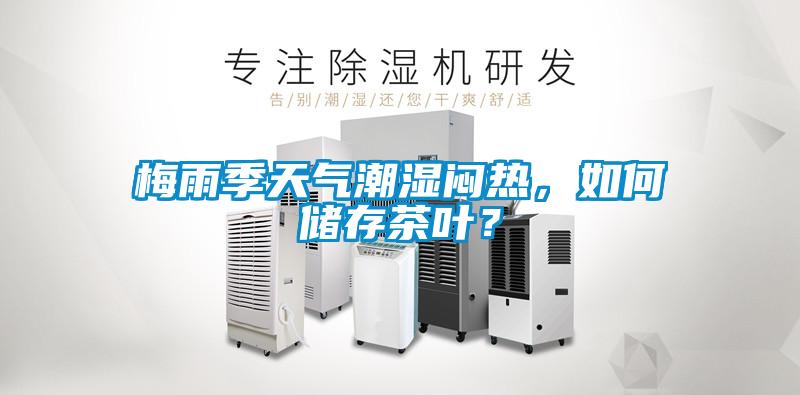 梅雨季天氣潮濕悶熱，如何儲存茶葉？