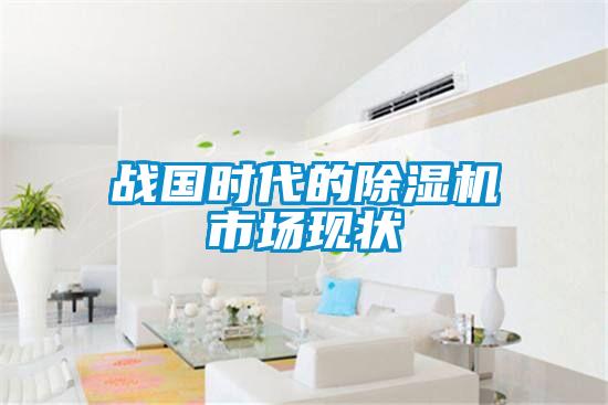 戰(zhàn)國時(shí)代的除濕機(jī)市場現(xiàn)狀