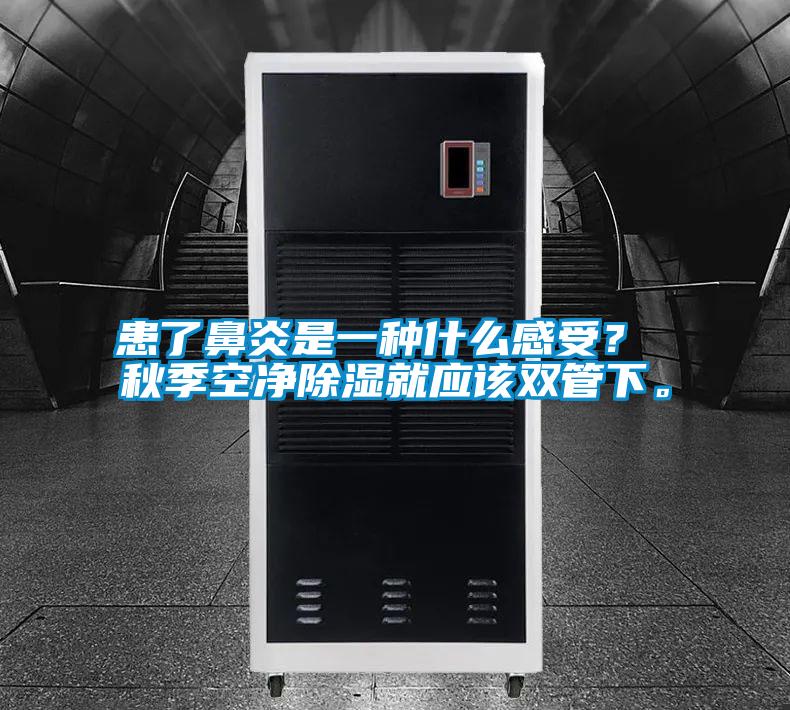 患了鼻炎是一種什么感受？ 秋季空凈除濕就應(yīng)該雙管下。