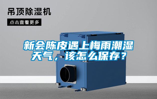 新會(huì)陳皮遇上梅雨潮濕天氣，該怎么保存？