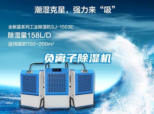 負(fù)離子除濕機