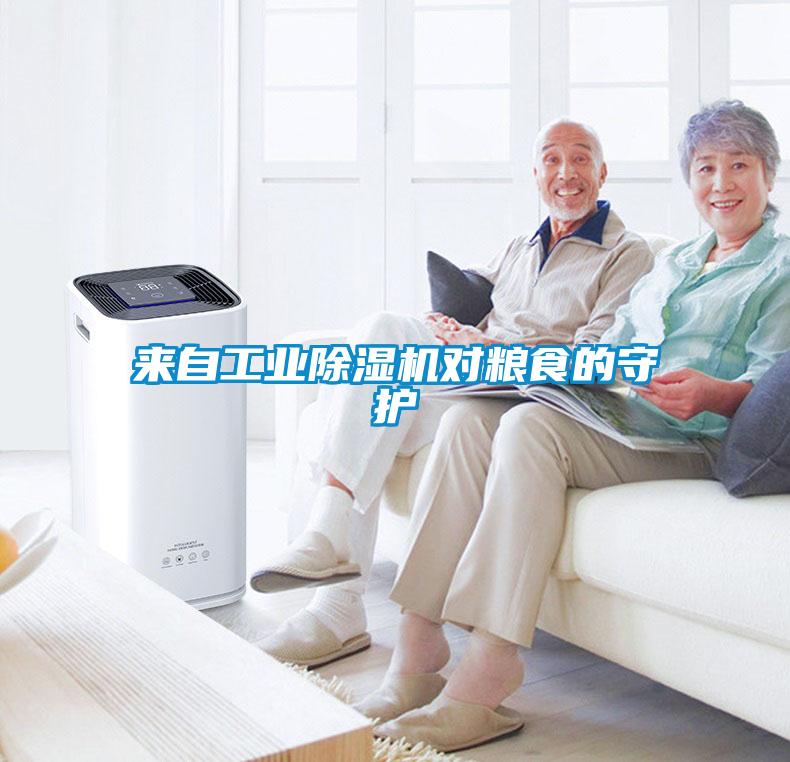 來自工業(yè)除濕機對糧食的守護