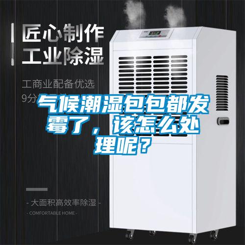 氣候潮濕包包都發(fā)霉了，該怎么處理呢？