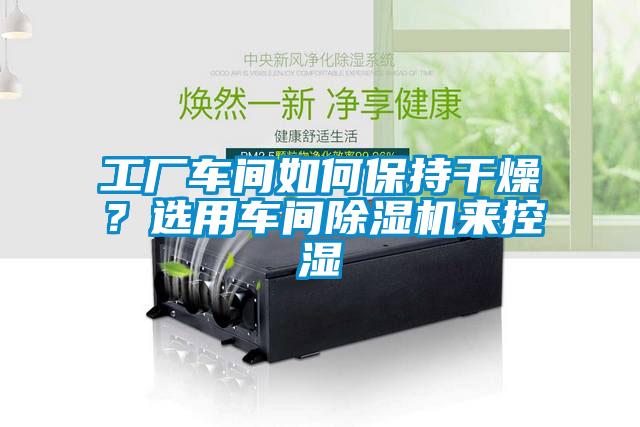 工廠車間如何保持干燥？選用車間除濕機(jī)來控濕