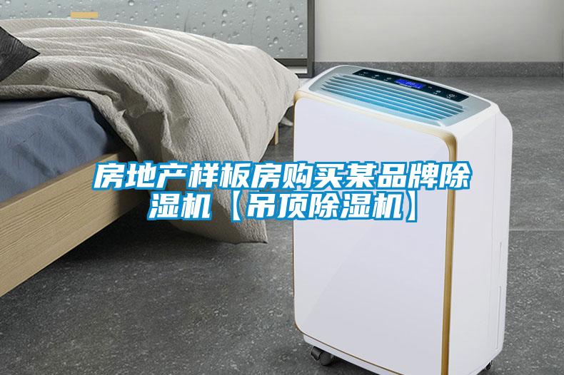 房地產(chǎn)樣板房購買某品牌除濕機(jī)【吊頂除濕機(jī)】