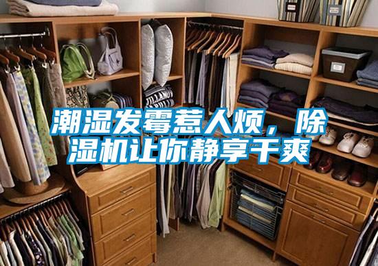 潮濕發(fā)霉惹人煩，除濕機(jī)讓你靜享干爽