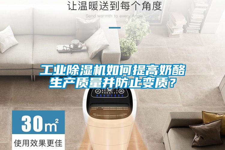 工業(yè)除濕機(jī)如何提高奶酪生產(chǎn)質(zhì)量并防止變質(zhì)？
