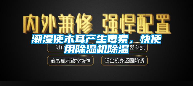 潮濕使木耳產生毒素，快使用除濕機除濕