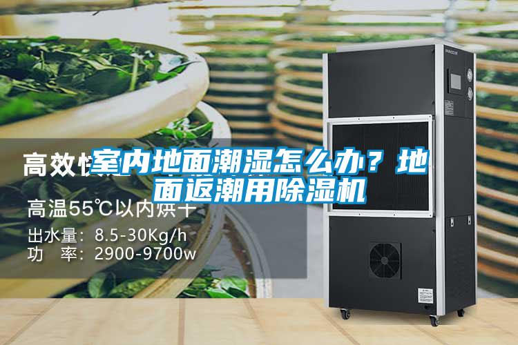 室內地面潮濕怎么辦？地面返潮用除濕機