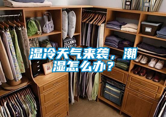 濕冷天氣來襲，潮濕怎么辦？