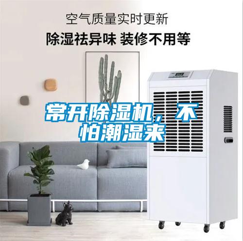 常開除濕機，不怕潮濕來