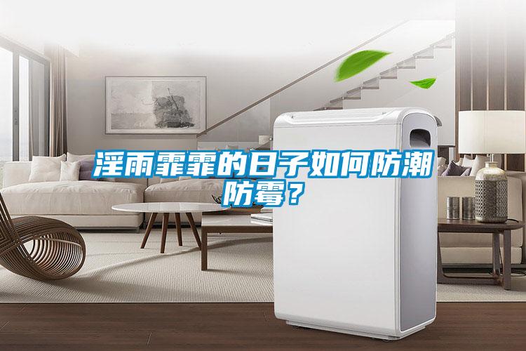 淫雨霏霏的日子如何防潮防霉？