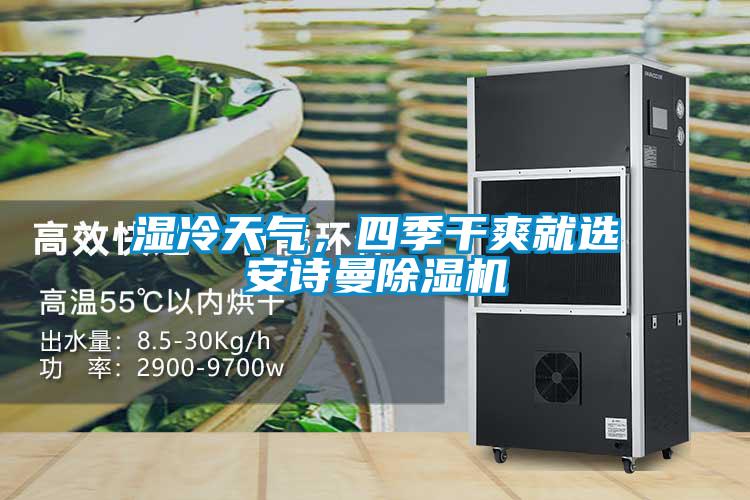 濕冷天氣，四季干爽就選安詩(shī)曼除濕機(jī)