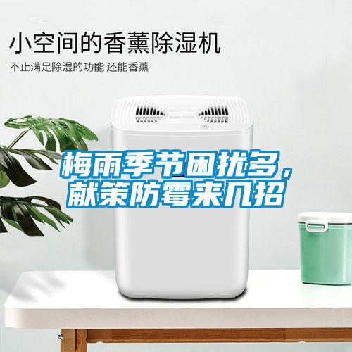 梅雨季節困擾多，獻策防霉來幾招