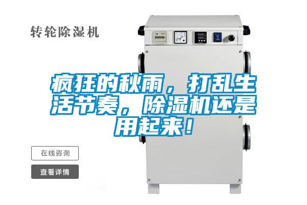 瘋狂的秋雨，打亂生活節奏，除濕機還是用起來！