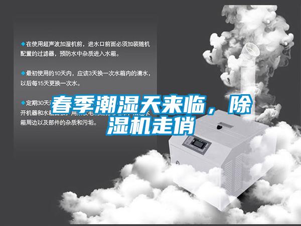 春季潮濕天來臨，除濕機走俏