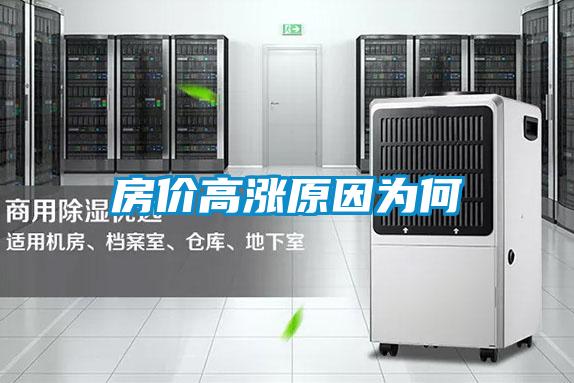 房?jī)r(jià)高漲原因?yàn)楹?/></p>
						    <p style=