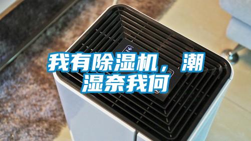 我有除濕機，潮濕奈我何