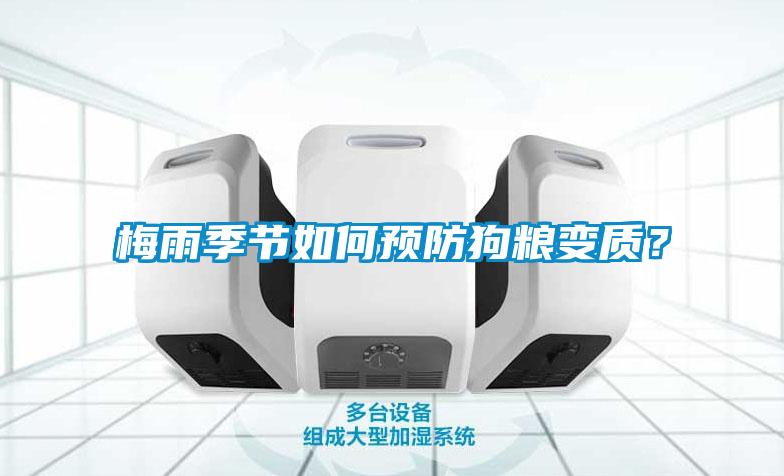 梅雨季節(jié)如何預防狗糧變質(zhì)？