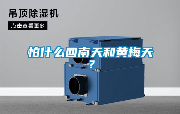 怕什么回南天和黃梅天？