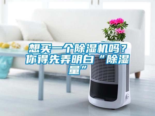 想買一個除濕機嗎？你得先弄明白“除濕量”