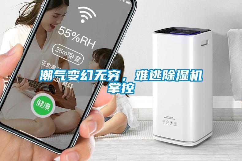 潮氣變幻無窮，難逃除濕機(jī)掌控