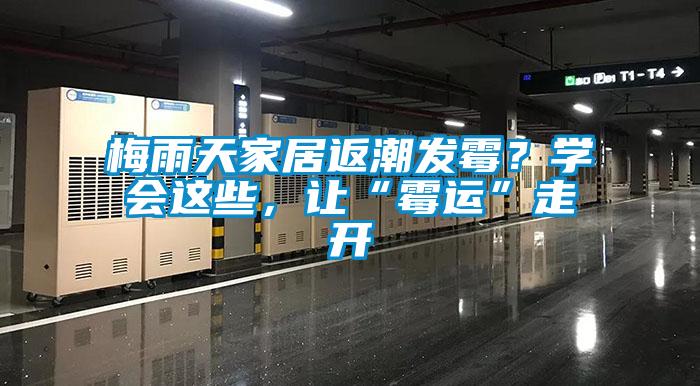 梅雨天家居返潮發(fā)霉？學會這些，讓“霉運”走開