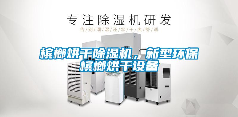 檳榔烘干除濕機，新型環保檳榔烘干設備