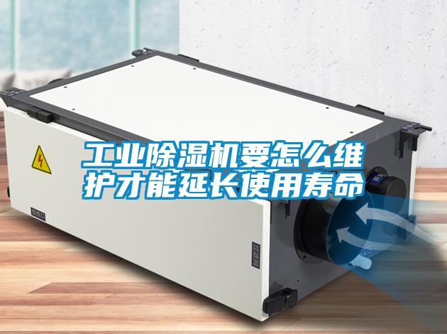 工業(yè)除濕機(jī)要怎么維護(hù)才能延長(zhǎng)使用壽命