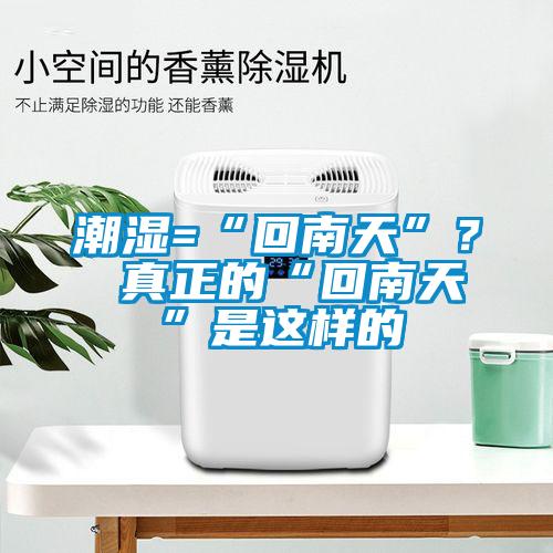 潮濕=“回南天”？ 真正的“回南天”是這樣的