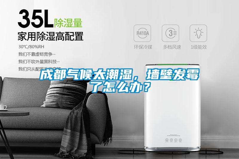 成都氣候太潮濕，墻壁發(fā)霉了怎么辦？