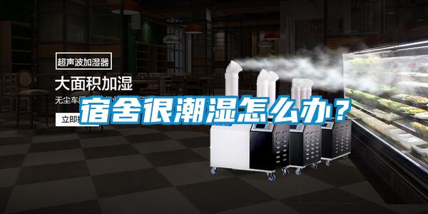 宿舍很潮濕怎么辦？