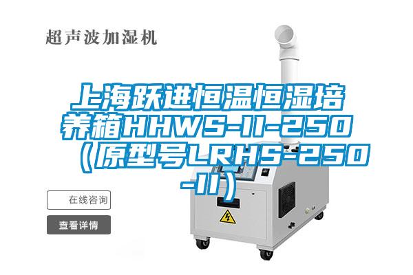 上海躍進(jìn)恒溫恒濕培養(yǎng)箱HHWS-II-250（原型號LRHS-250-II）