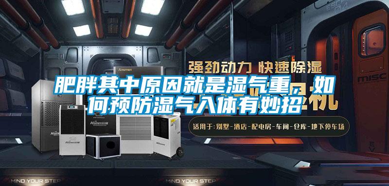 肥胖其中原因就是濕氣重，如何預(yù)防濕氣入體有妙招