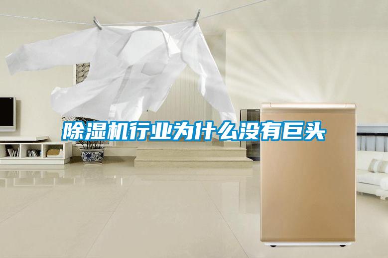 除濕機行業(yè)為什么沒有巨頭