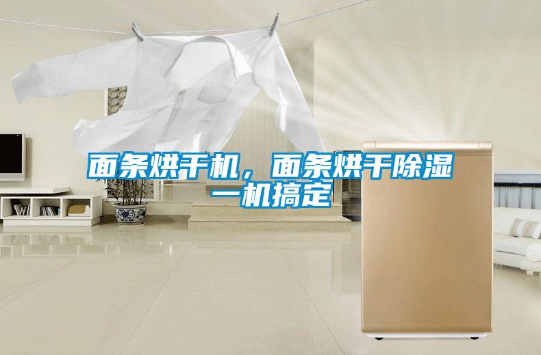 面條烘干機(jī)，面條烘干除濕一機(jī)搞定
