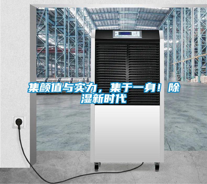 集顏值與實(shí)力，集于一身！除濕新時(shí)代