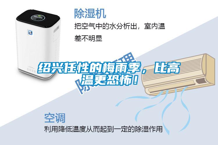 紹興任性的梅雨季，比高溫更恐怖！