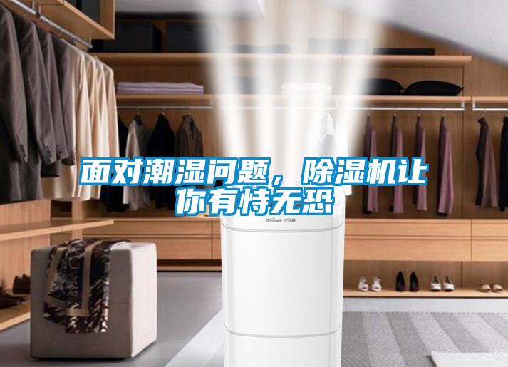 面對(duì)潮濕問題，除濕機(jī)讓你有恃無恐