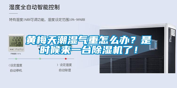 黃梅天潮濕氣重怎么辦？是時(shí)候來(lái)一臺(tái)除濕機(jī)了！