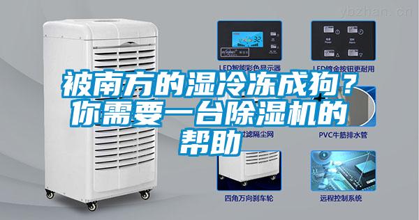 被南方的濕冷凍成狗？你需要一臺除濕機(jī)的幫助