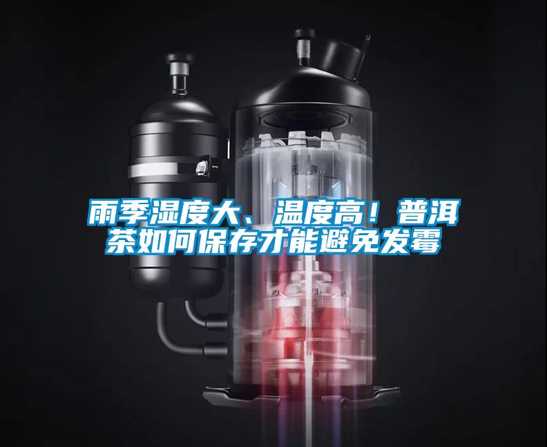 雨季濕度大、溫度高！普洱茶如何保存才能避免發霉