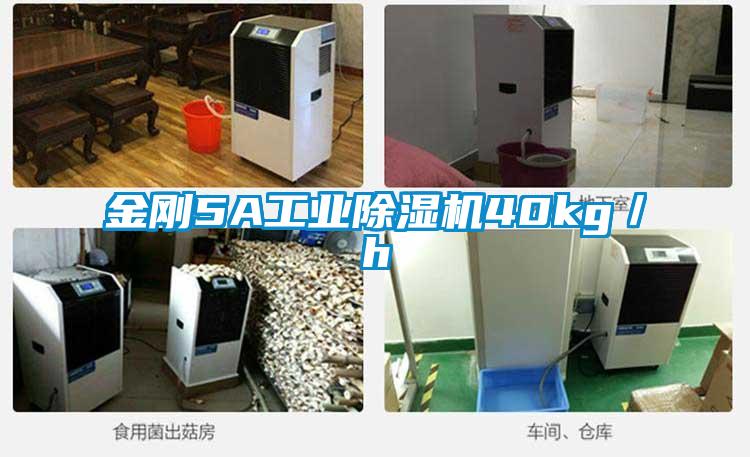 金剛5A工業除濕機40kg／h