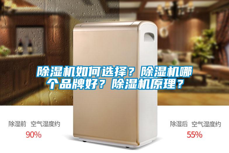 除濕機(jī)如何選擇？除濕機(jī)哪個(gè)品牌好？除濕機(jī)原理？