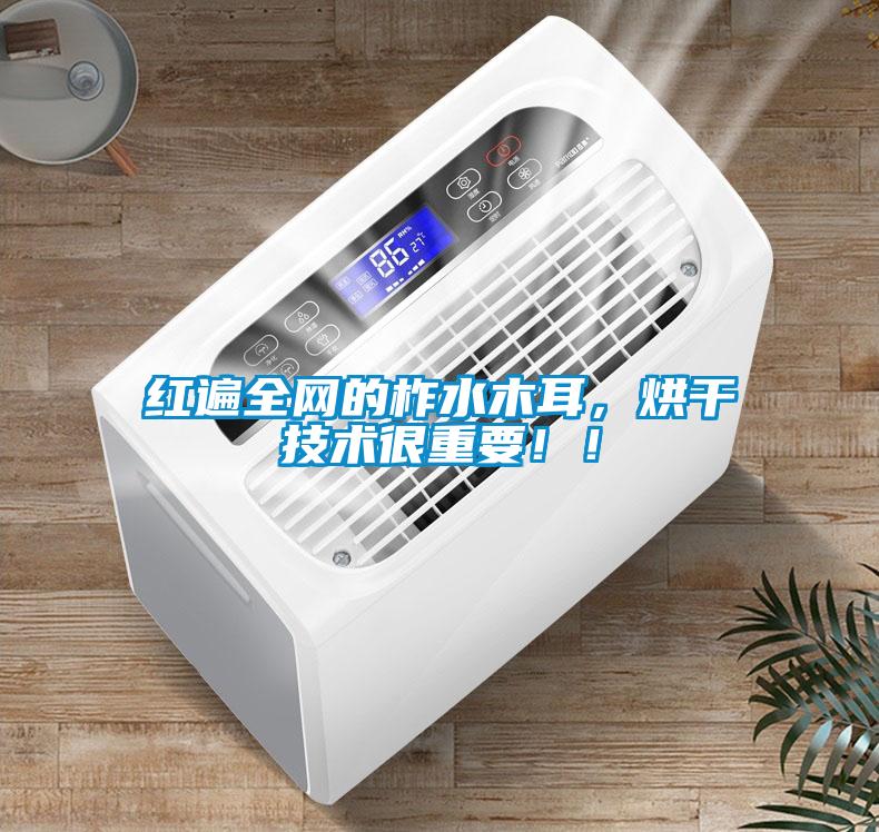 紅遍全網的柞水木耳，烘干技術很重要！！