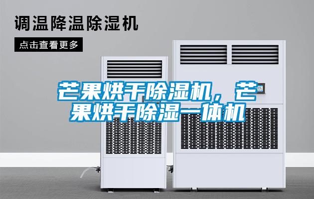 芒果烘干除濕機，芒果烘干除濕一體機
