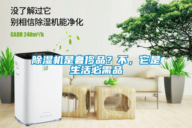 除濕機(jī)是奢侈品？不，它是生活必需品
